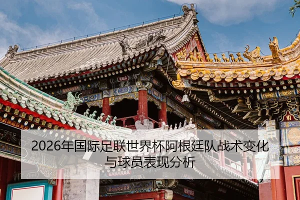 nian-guo-ji-zu-lian-shi-jie-bei-a-gen-ting-dui-zhan-shu-bian-hua-yu-qiu-yuan-biao-xian-fen-xi-2-314.jpg