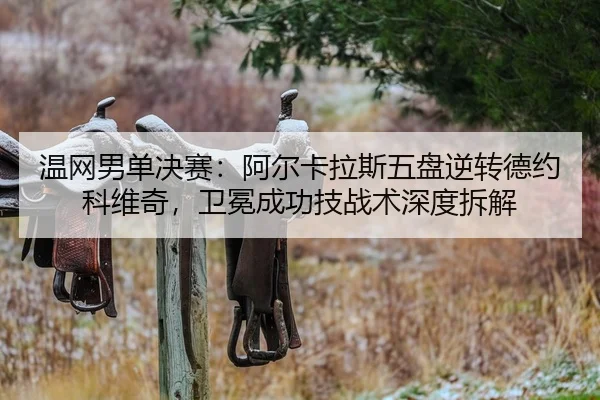 wen-wang-nan-dan-jue-sai-a-er-ka-la-si-wu-pan-ni-zhuan-de-yue-ke-wei-qi-wei-mian-cheng-gong-ji-zhan-shu-shen-du-chai-jie-2-430.jpg