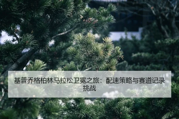 ji-pu-qiao-ge-bo-lin-ma-la-song-wei-mian-zhi-lv-pei-su-ce-lve-yu-sai-dao-ji-lu-tiao-zhan-2-816.jpg